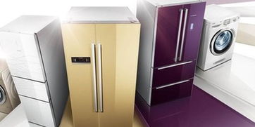 警惕消费隐患 去年进口家电不合格率近三成，选购与使用指南